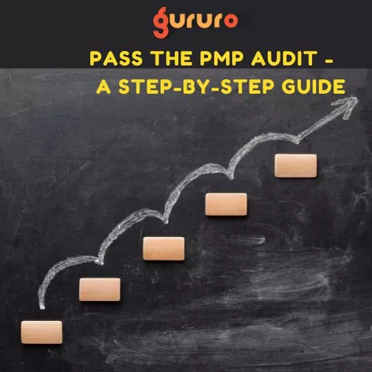 Pass the PMP Audit A Step-by-Step Guide