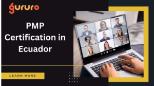 PMP Certification in Ecuador image