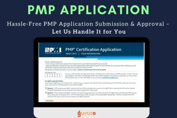 PMP Application appoval We Do It for You image