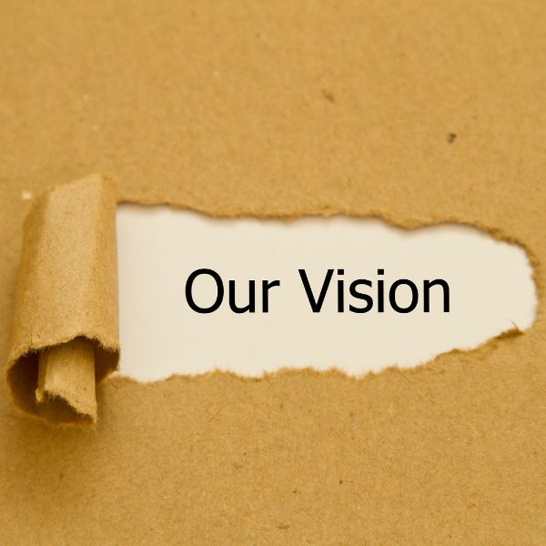 our-vision image