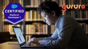 Best Salesforce Platform Developer 1 Practice Tests